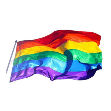 LGBTQIA+ Pride Flag